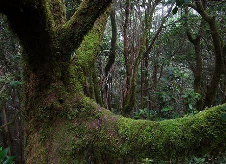 Buenavistera Lägenhet Buenavista Del Norte Exteriör bild